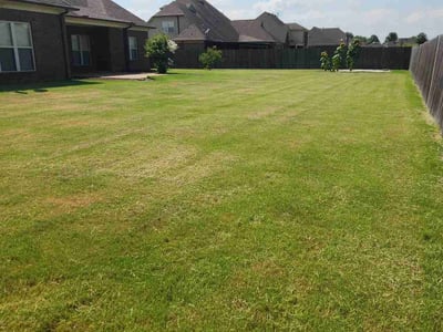 Lawn care service in Millington, 38053
