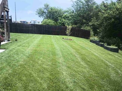 Lawn care service in Papillion, 68133