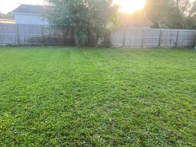 Lawn care service in Panama City Beach, 32408