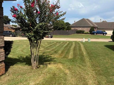 Lawn care service in Pike Road, 36064