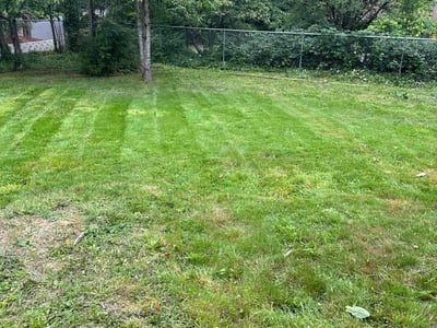 Lawn care service in Bremerton, 98311