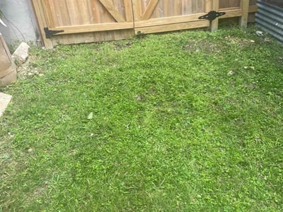 Lawn care service in Austin, 78702