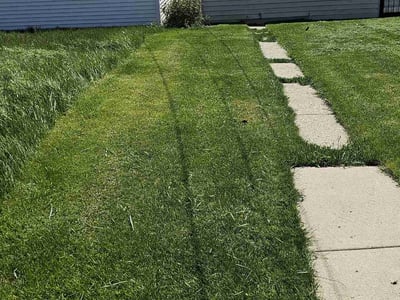 Lawn care service in Milwaukee, 53209