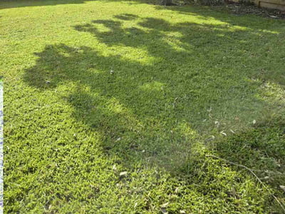 Lawn care service in Houston, 77071