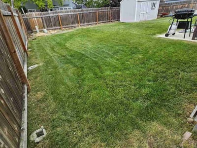 Lawn care service in Boise, 83704