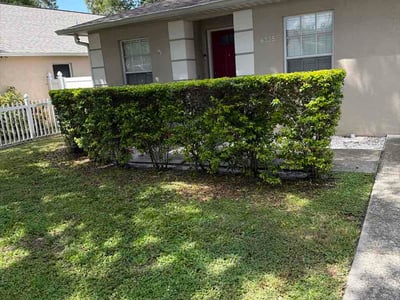 Lawn care service in Tampa, 33616