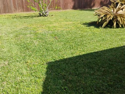 Lawn care service in Houston, 77053