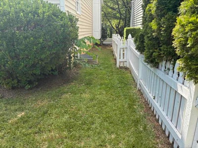 Lawn care service in Rockville, 20850