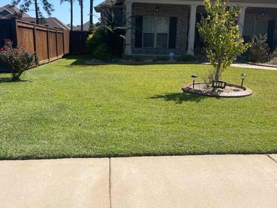 Lawn care service in Kathleen, 31047