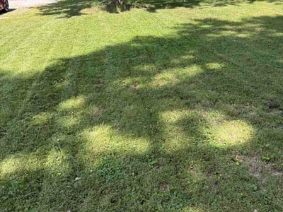Lawn care service in Holt, 48842