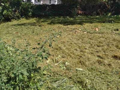 Lawn care service in Omaha, 68131