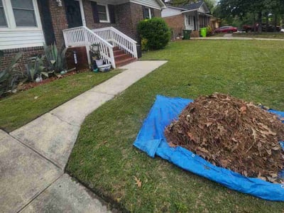 Lawn care service in , 