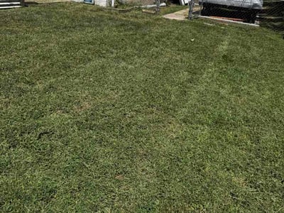 Lawn care service in Overland Park, 66204