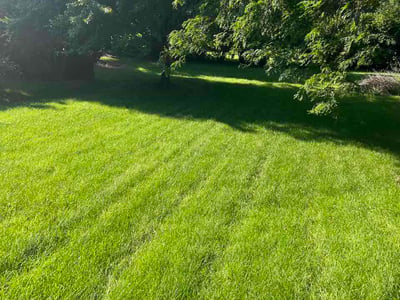 Lawn care service in Ankeny, 50023