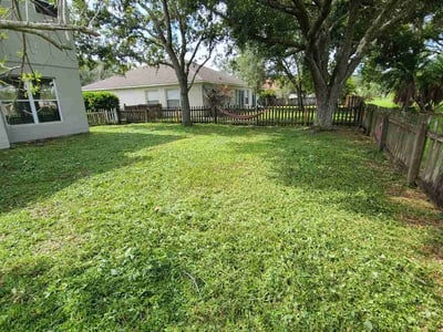 Lawn care service in Orlando, 32826