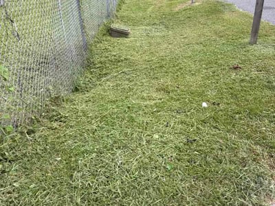 Lawn care service in Sunshine, 70780
