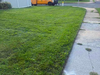 Lawn care service in Lansdale, 19446