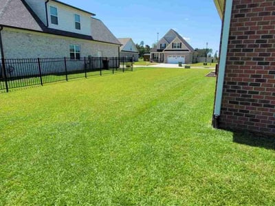 Lawn care service in Florence, 29501