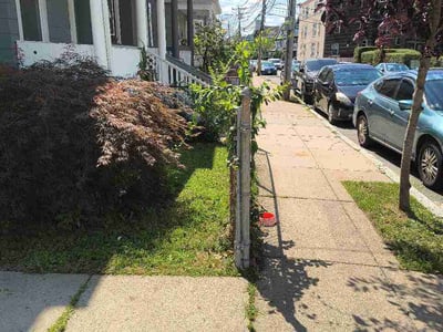 Lawn care service in Boston, 02121