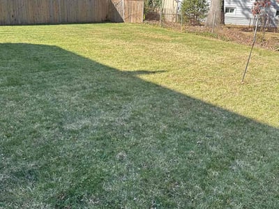 Lawn care service in Parkville, 21234