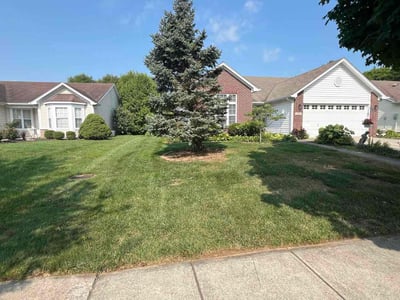 Lawn care service in Fishers, 46037