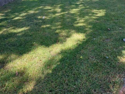 Lawn care service in Baton Rouge, 70815