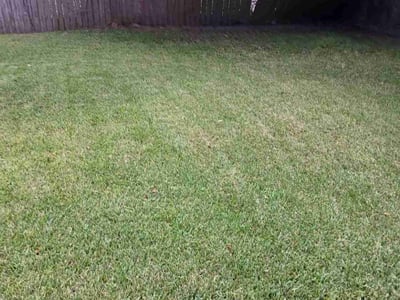 Lawn care service in Bridge City, 70094