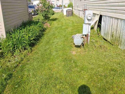 Lawn care service in Milford, 48381