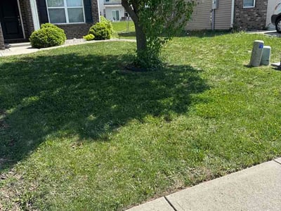 Lawn care service in Plainfield, 46168