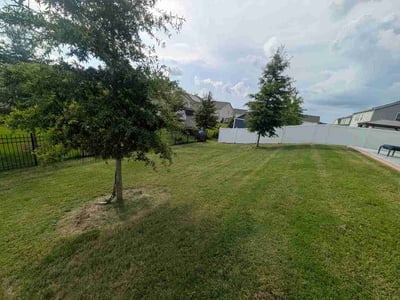 Lawn care service in Gastonia, 28056