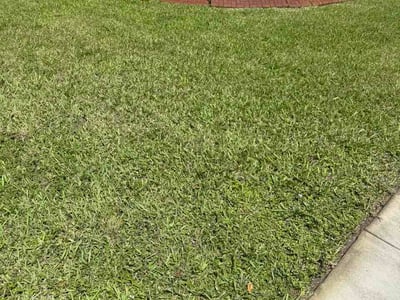 Lawn care service in Pembroke Pines, 33029
