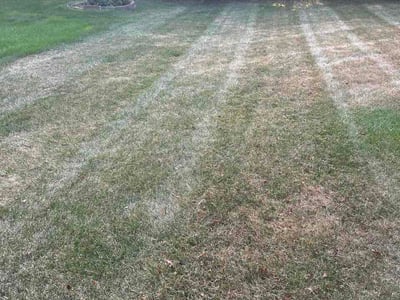 Lawn care service in Farmington Hills, 48335