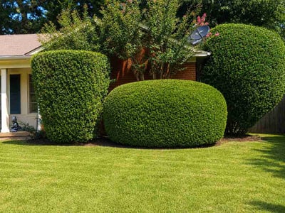 Lawn care service in Bartlett, 38134