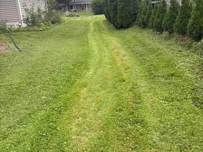 Lawn care service in Greenfield, 53221