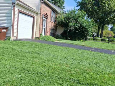 Lawn care service in Westerville, 43081