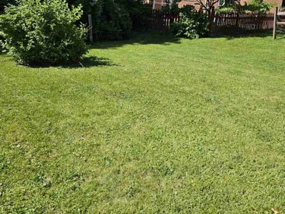 Lawn care service in Allentown, 18103