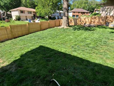 Lawn care service in Omaha, 68157