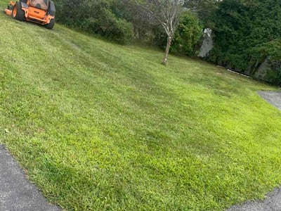 Lawn care service in Schenectady, 12303