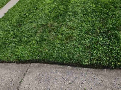 Lawn care service in Moorhead, 56560
