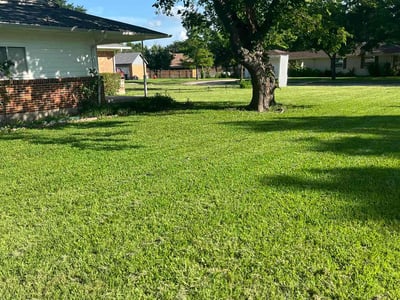 Lawn care service in Mesquite, 75149