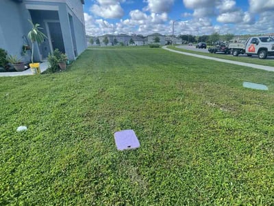 Lawn care service in Zephyrhills, 33541