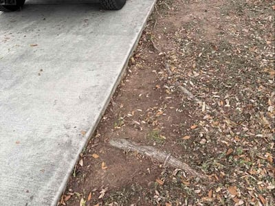 Lawn care service in San Antonio, 78255