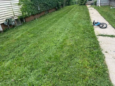Lawn care service in Milwaukee, 53212