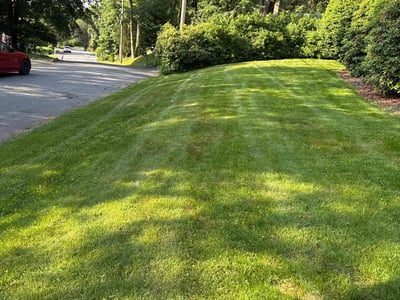 Lawn care service in Shrewsbury, 01545