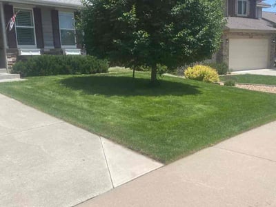 Lawn care service in Greeley, 80634
