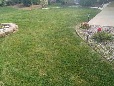 Lawn care service in Fresno, 93722
