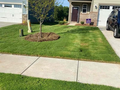 Lawn care service in York, 29745
