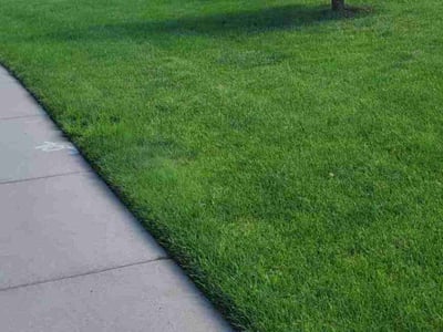 Lawn care service in Maple Grove, 55311