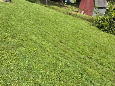 Lawn care service in Louisville, 40218
