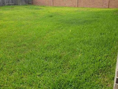 Lawn care service in Richmond, 77407